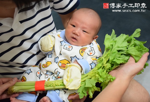 洋洋(新北中和區到府嬰兒寶寶滿月剃頭理髮、免費到府嬰兒剃胎毛儀式吉祥話)。到府剃頭剃胎毛主持、專業拍照、DVD光碟、證書。★購買「臍帶章、肚臍章、胎毛筆刷印章」贈送：剃頭、收涎、抓周，三選一。2015.10.31 照片13